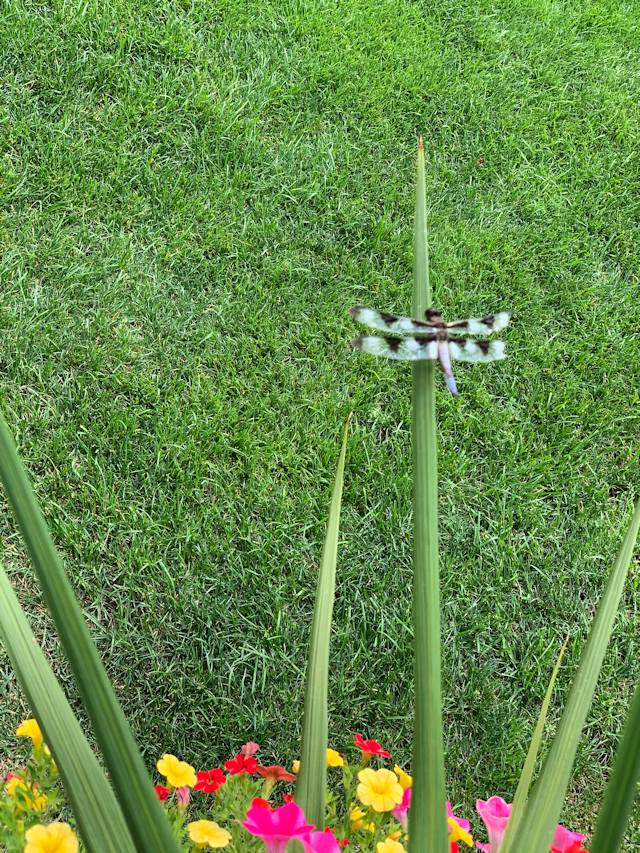 Missoula Rental Maintenance, Inc. - Handyman Pricing